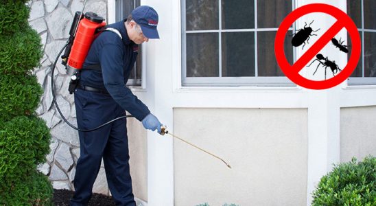 Nallıhan Böcek İlaçlama böcek ilaçlama ve haşere kontrolü — ilaclama-tr.com